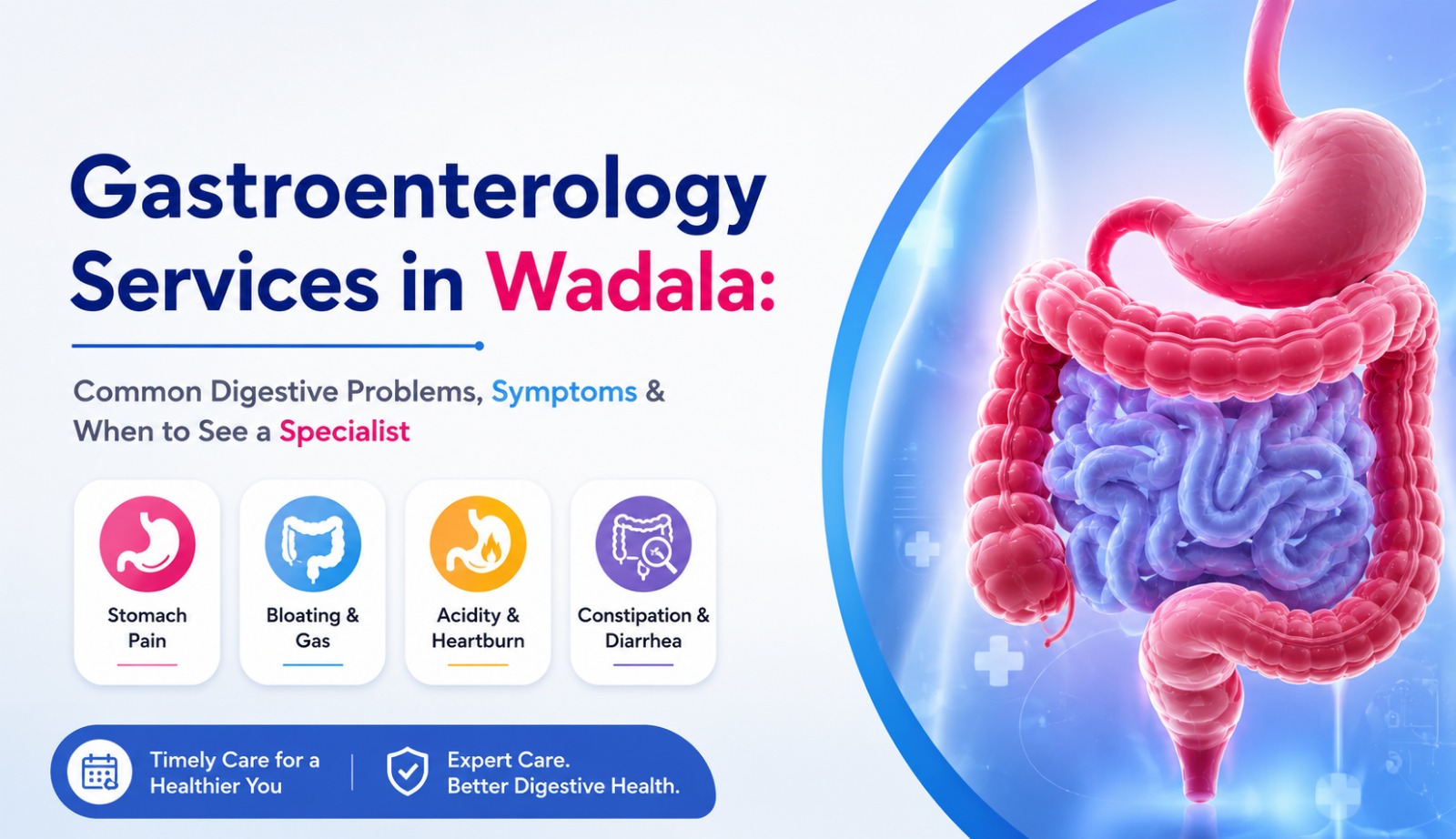 Gastroenterology Services in Wadala